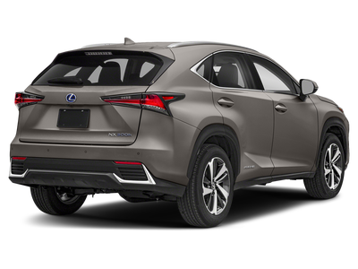 2019 Lexus NX 300h