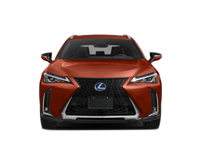 2019 Lexus UX 250h F SPORT