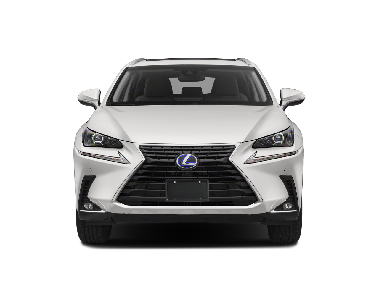 2021 Lexus NX 300h