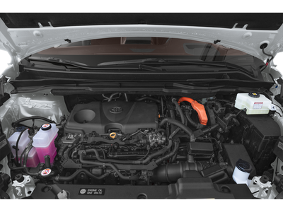 2025 Toyota Sienna Platinum 7-Passenger