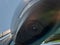 2025 Subaru Ascent Touring