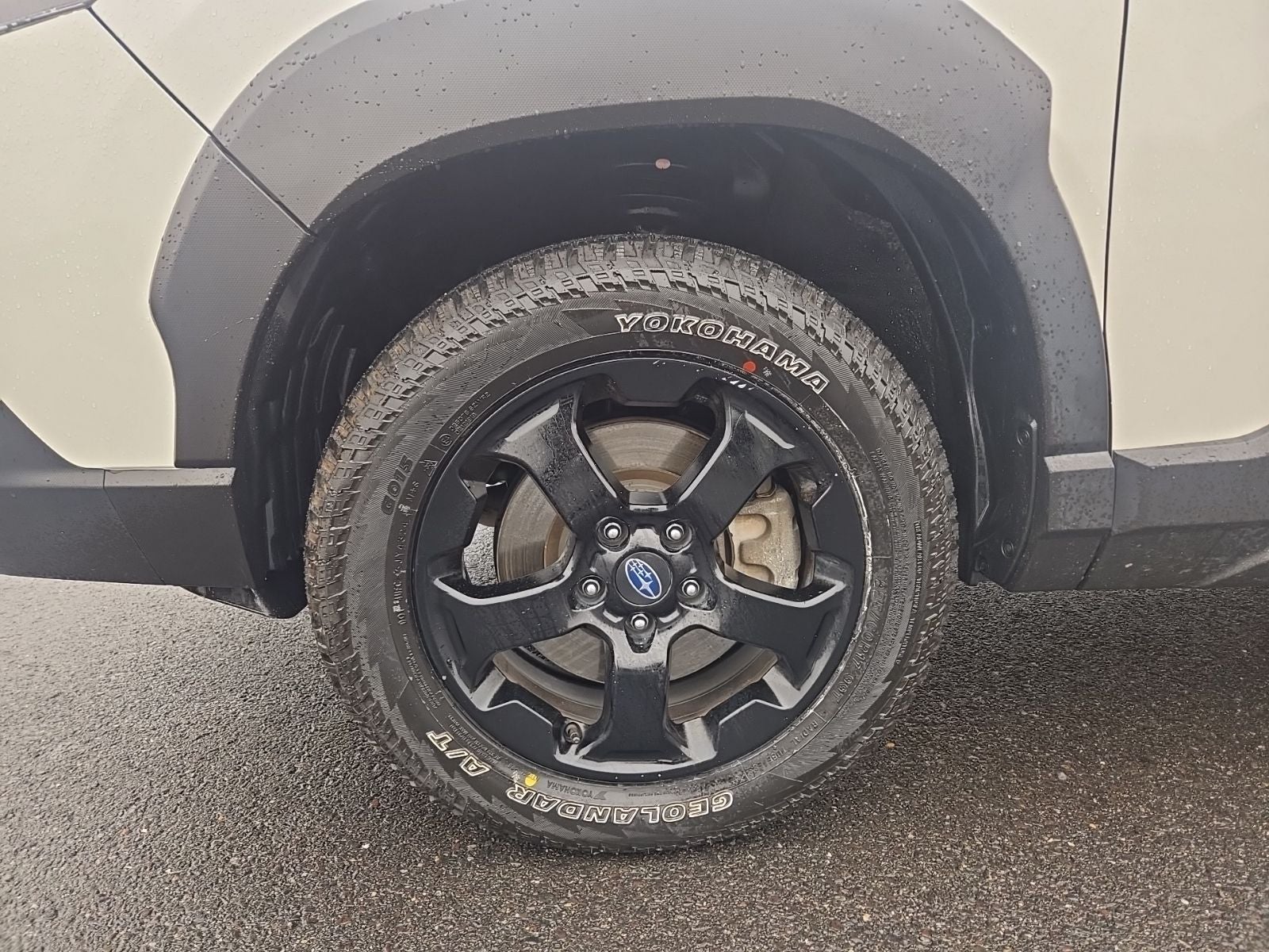 2023 Subaru Forester Wilderness