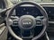 2025 Kia Carnival SX