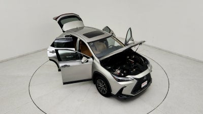 2024 Lexus NX 350 Premium