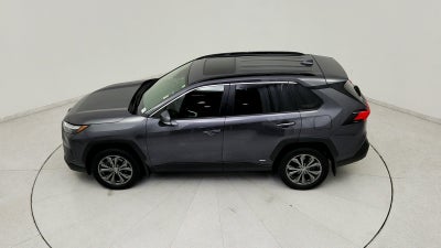2025 Toyota RAV4 Hybrid XLE Premium
