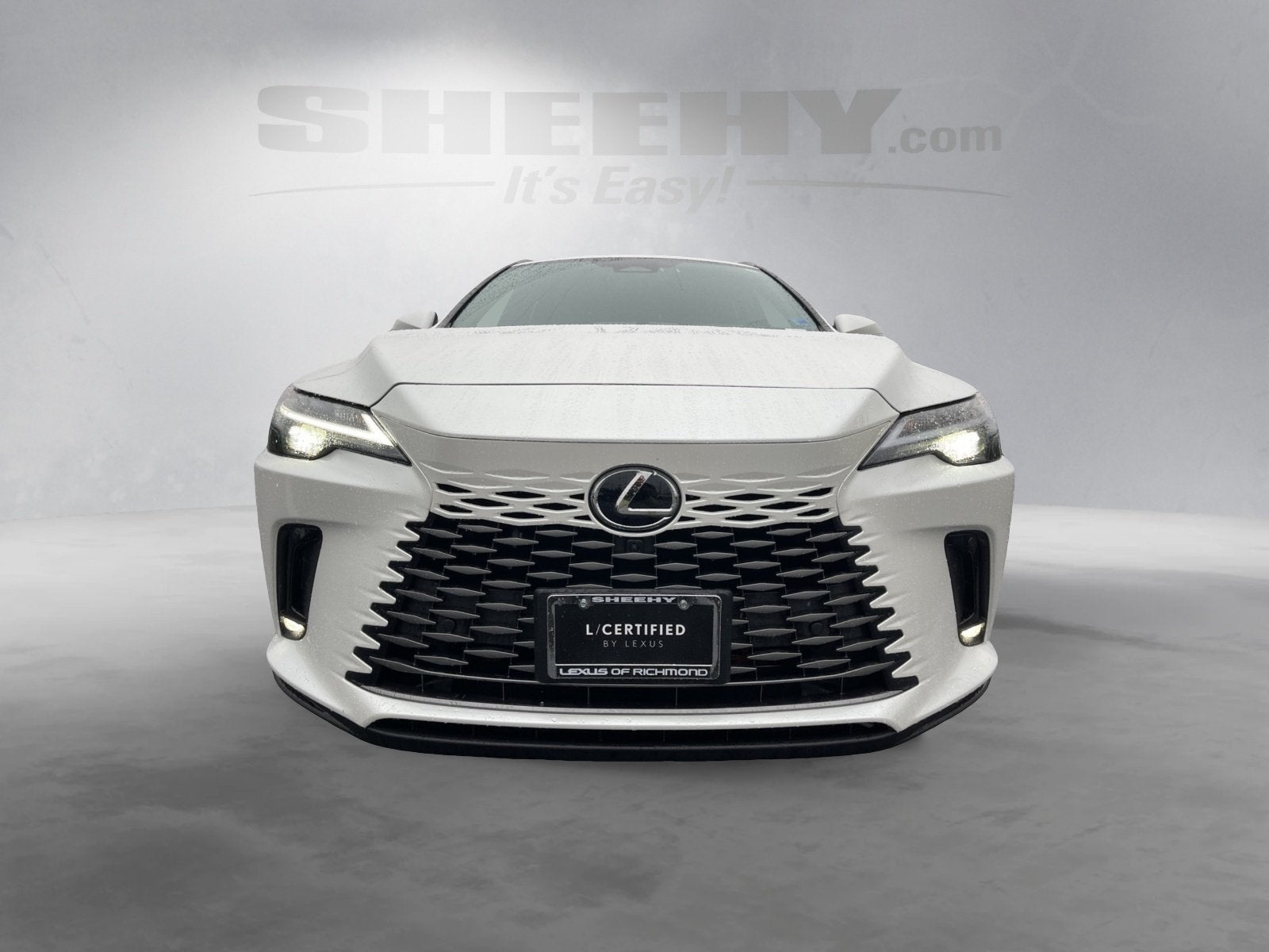 2023 Lexus RX 350 Premium Plus