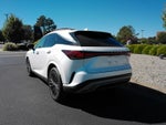 2025 Lexus RX RX 350