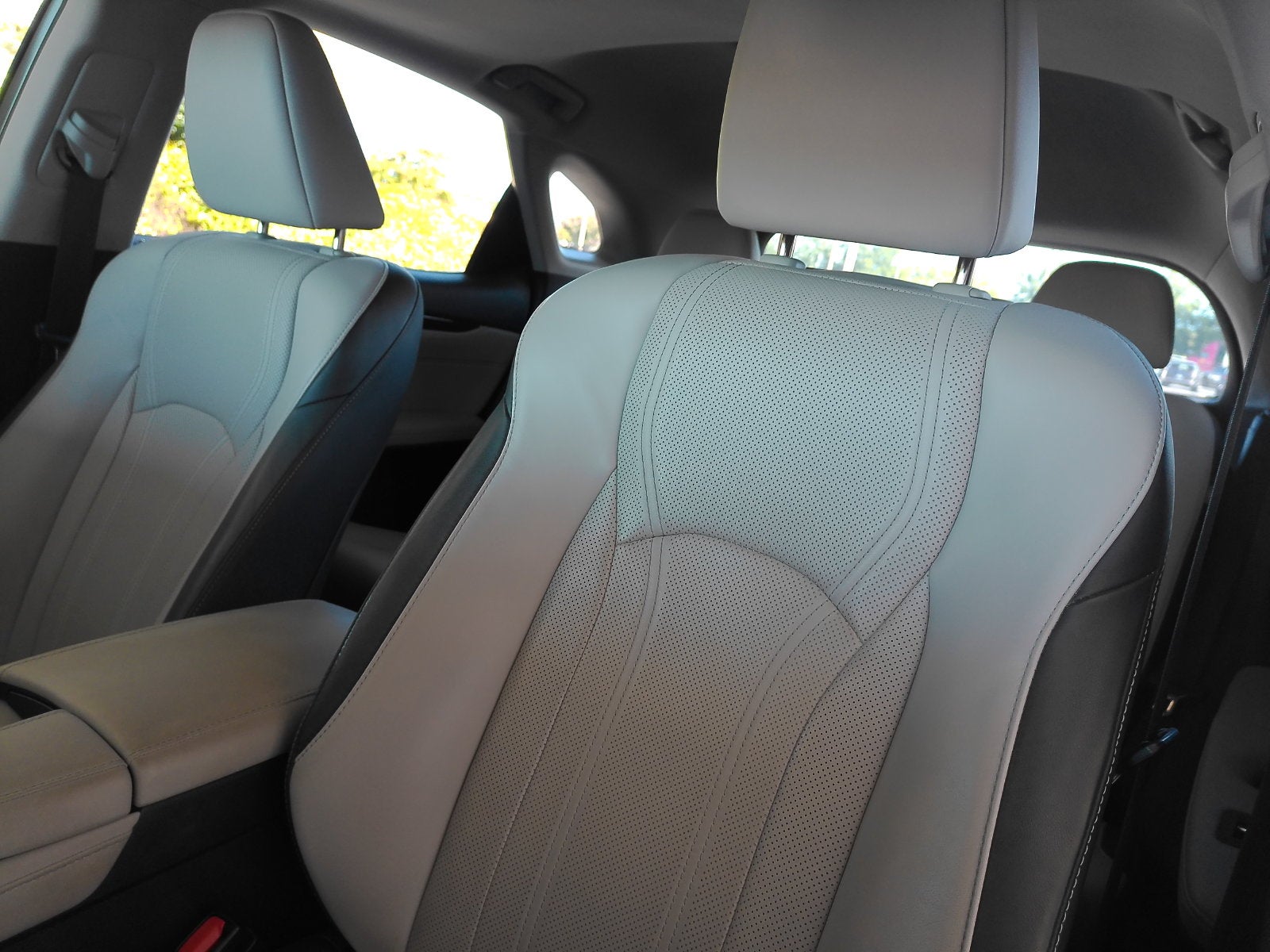 2019 Lexus RX 350