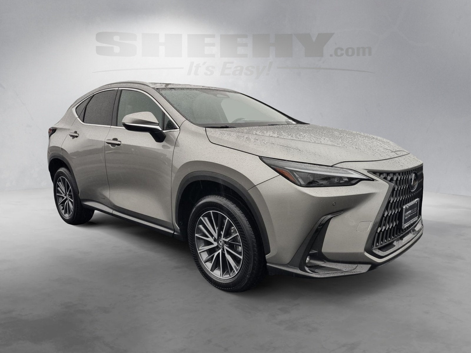 2025 Lexus NX 350 Premium