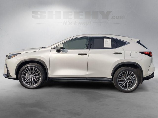 2022 Lexus NX 350 Premium