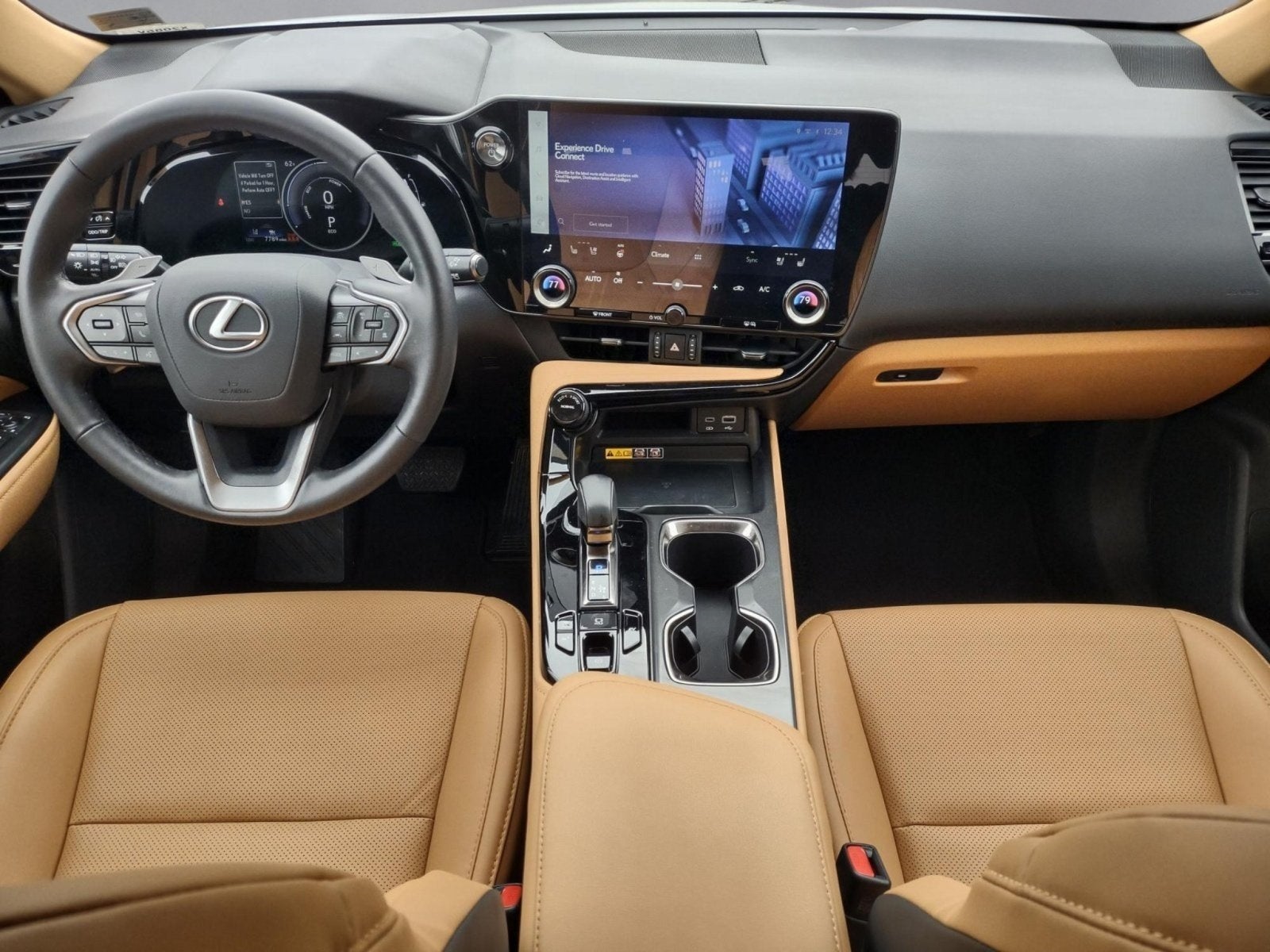 2025 Lexus NX 350h Premium