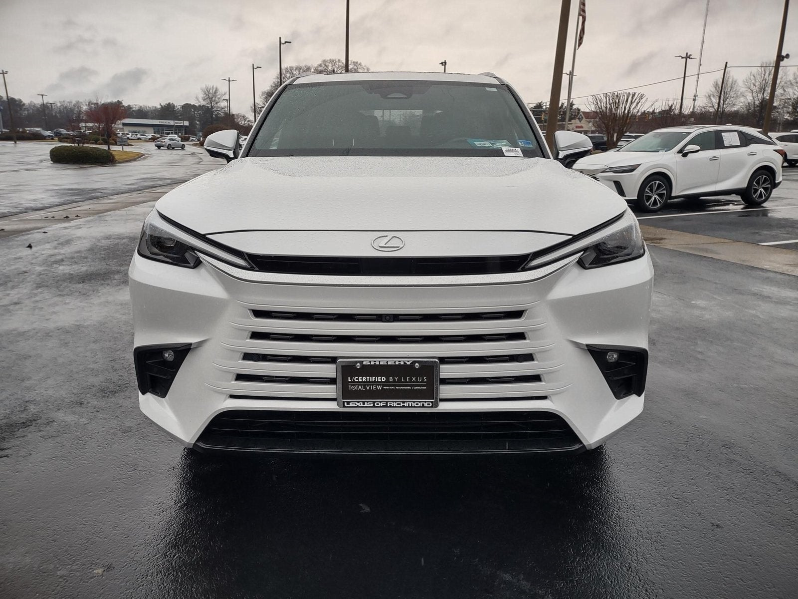 2025 Lexus TX 350 Premium