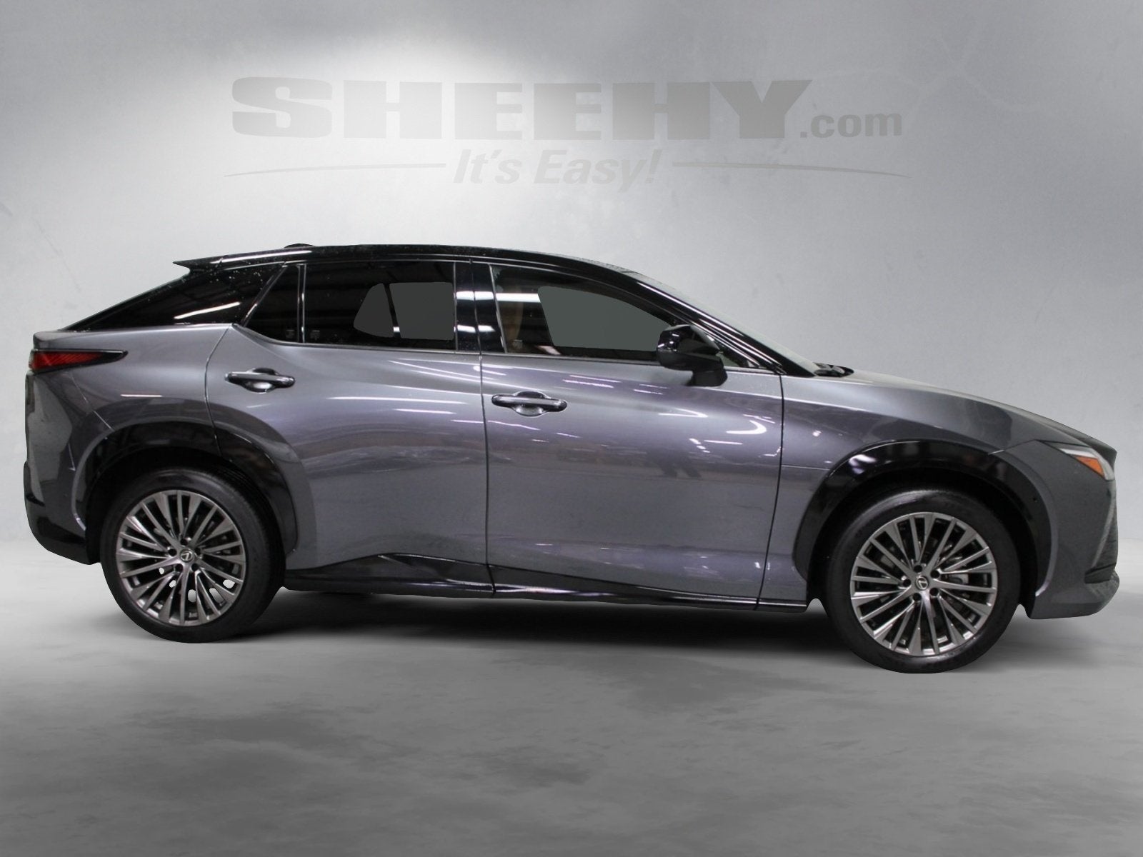 2023 Lexus RZ 450e Luxury