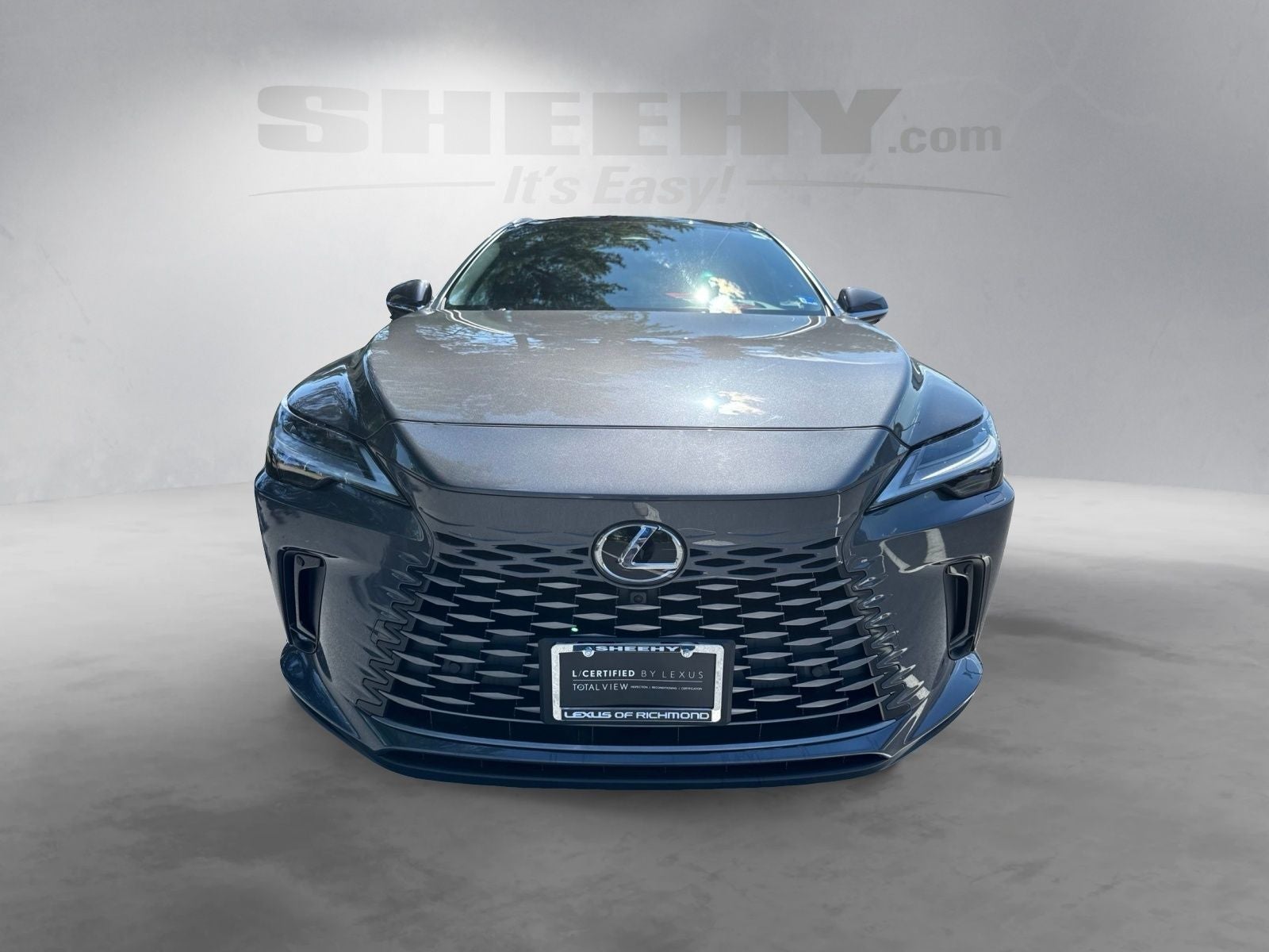 2025 Lexus RX 450h+ Luxury