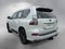 2023 Lexus GX 460 Luxury