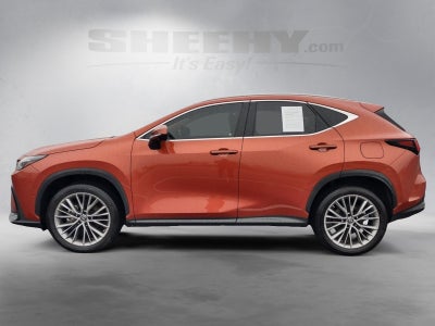2022 Lexus NX 350h Luxury