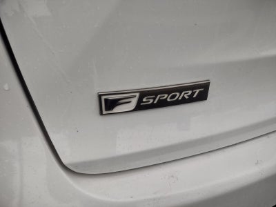 2020 Lexus NX 300 F Sport
