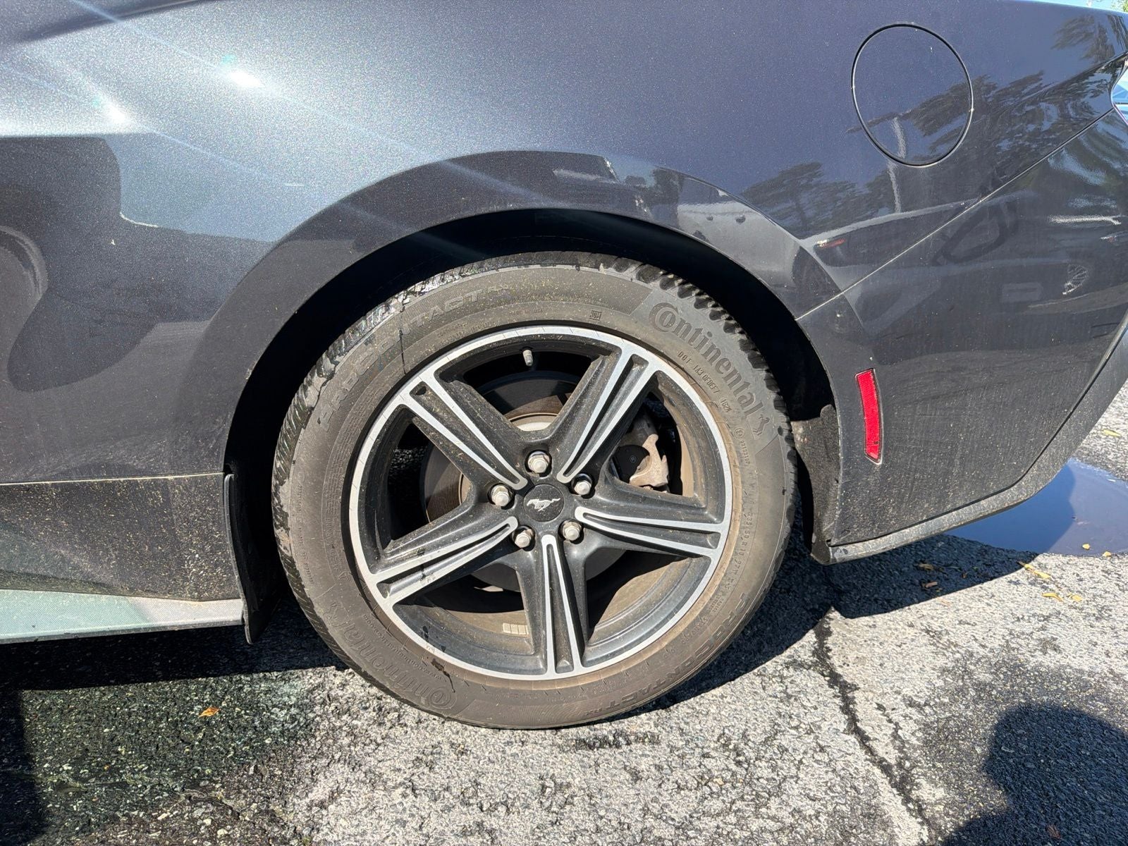 2024 Ford Mustang EcoBoost