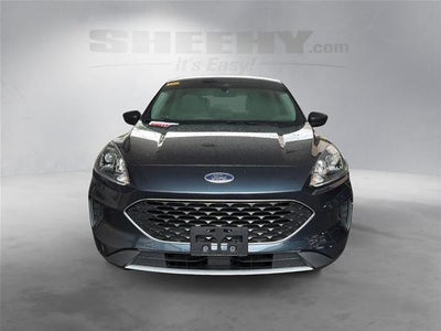2022 Ford Escape Hybrid SE