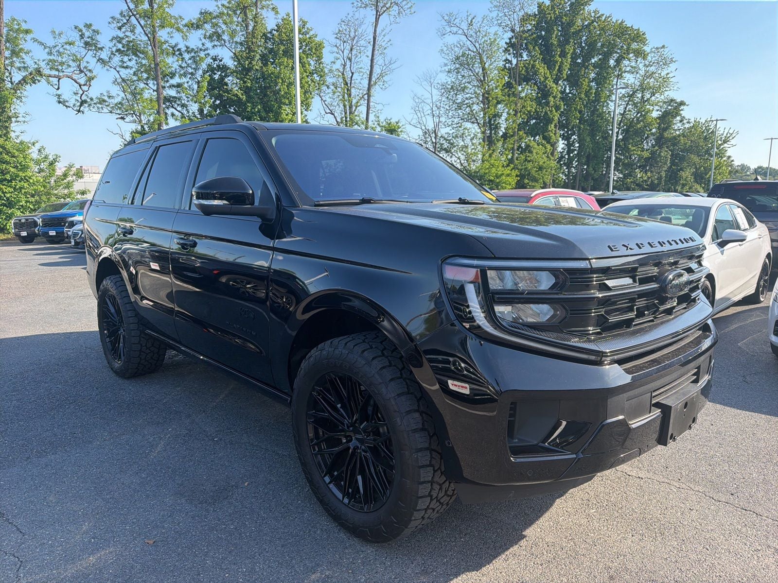 2025 Ford Expedition Platinum's photo