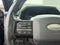 2022 Ford F-150 Lightning Platinum