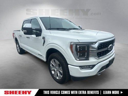 2023 Ford F-150 Platinum