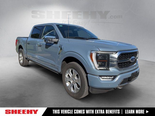 2023 Ford F-150 Platinum 4x4 SuperCrew 5-1/2 Box's photo