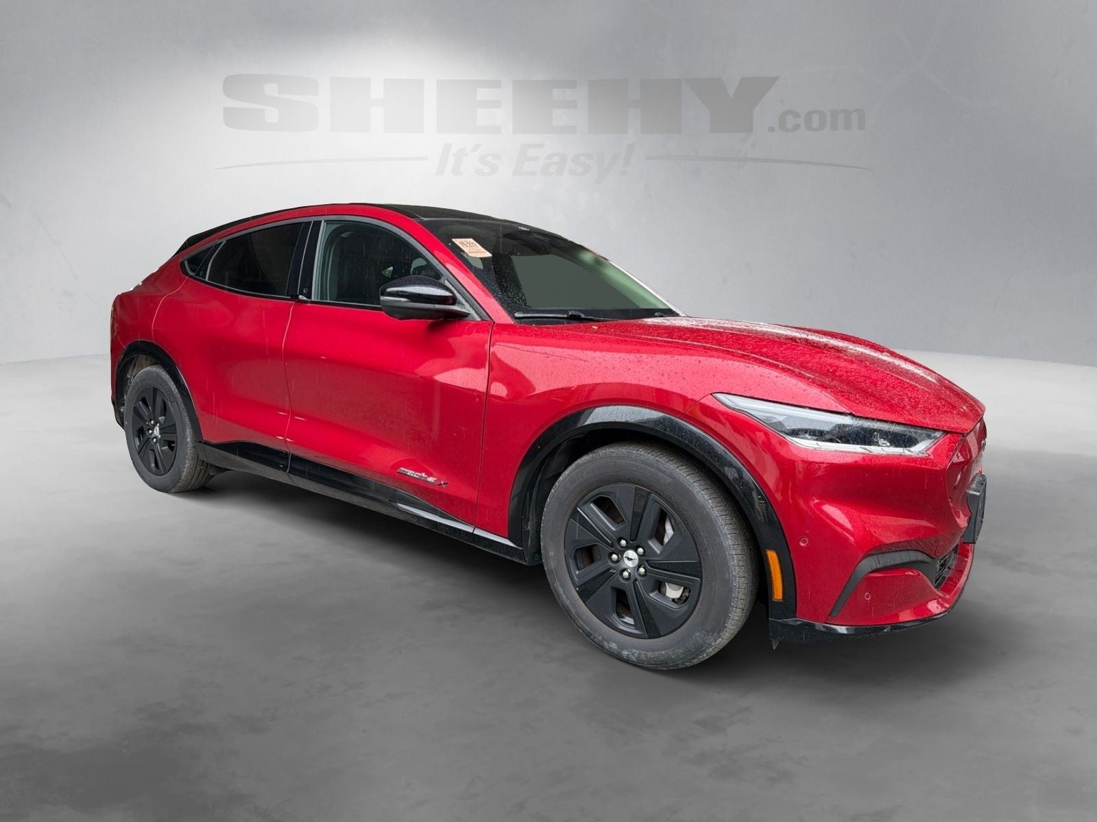 Certified 2021 Ford Mustang Mach-E California Route 1 RWD with VIN 3FMTK2R71MMA00235 for sale in Gaithersburg, MD