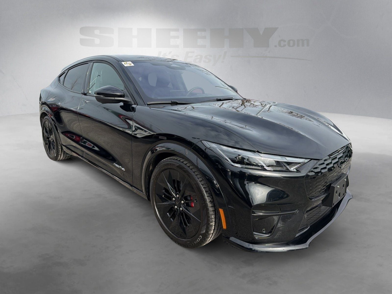 Certified 2025 Ford Mustang Mach-E GT AWD with VIN 3FMTK4SX3SMA05231 for sale in Gaithersburg, MD