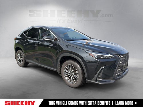 2024 Lexus NX NX 350