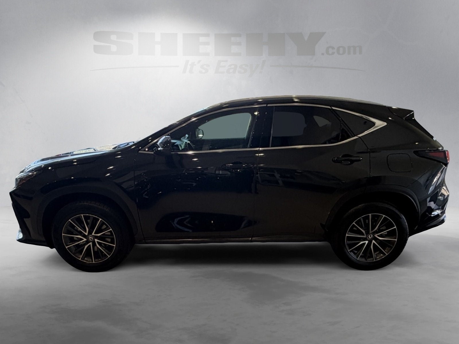 2024 Lexus NX 250 Base