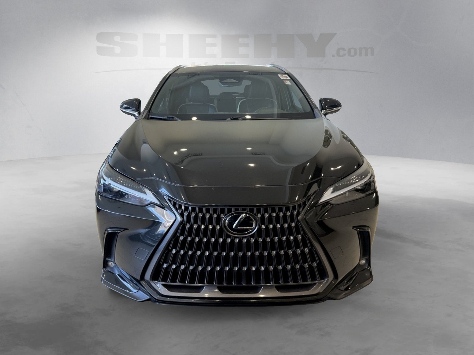 2024 Lexus NX 250 Base