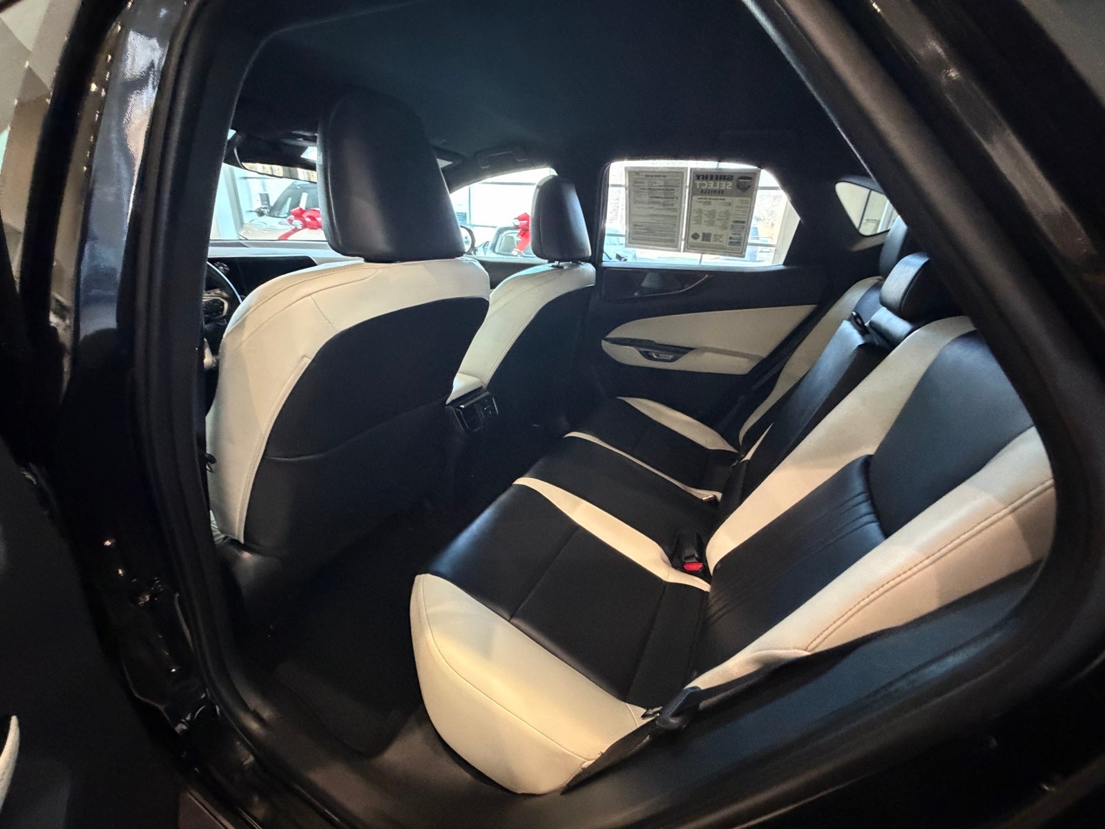 2024 Lexus NX 250 Base