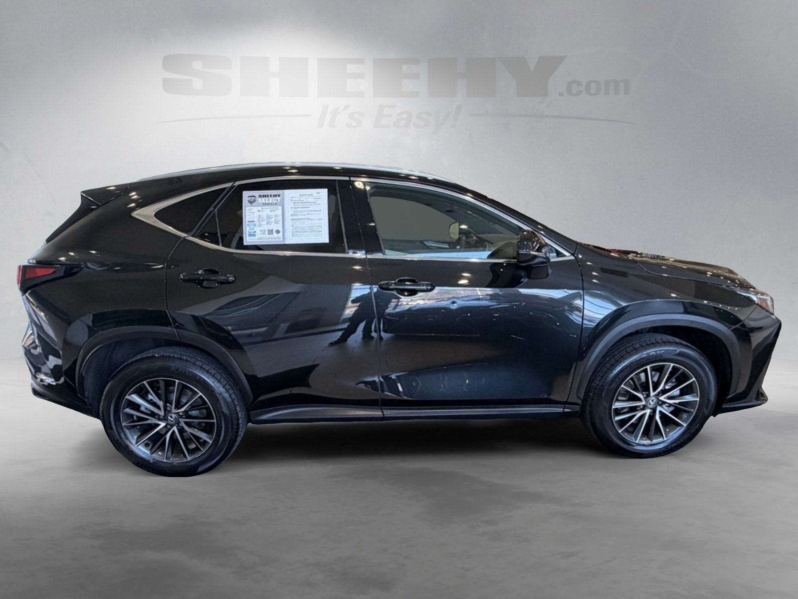 2024 Lexus NX 250 Base