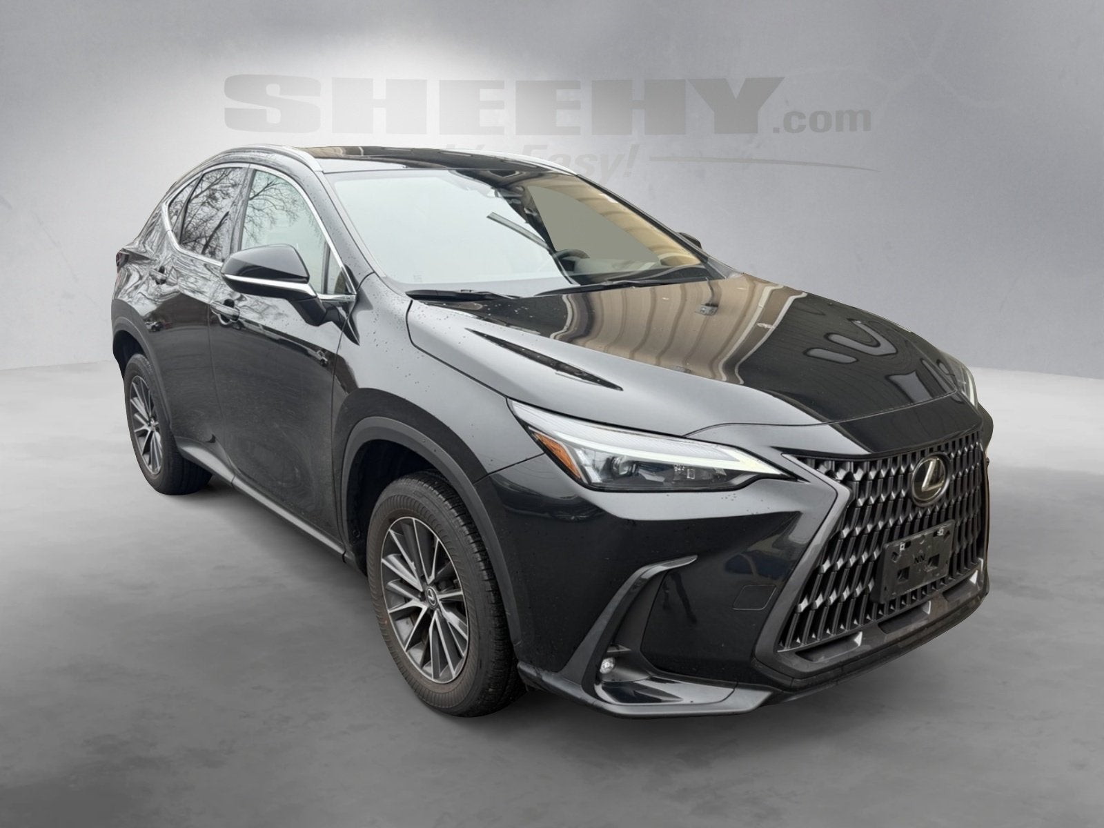 2024 Lexus NX 250 Base