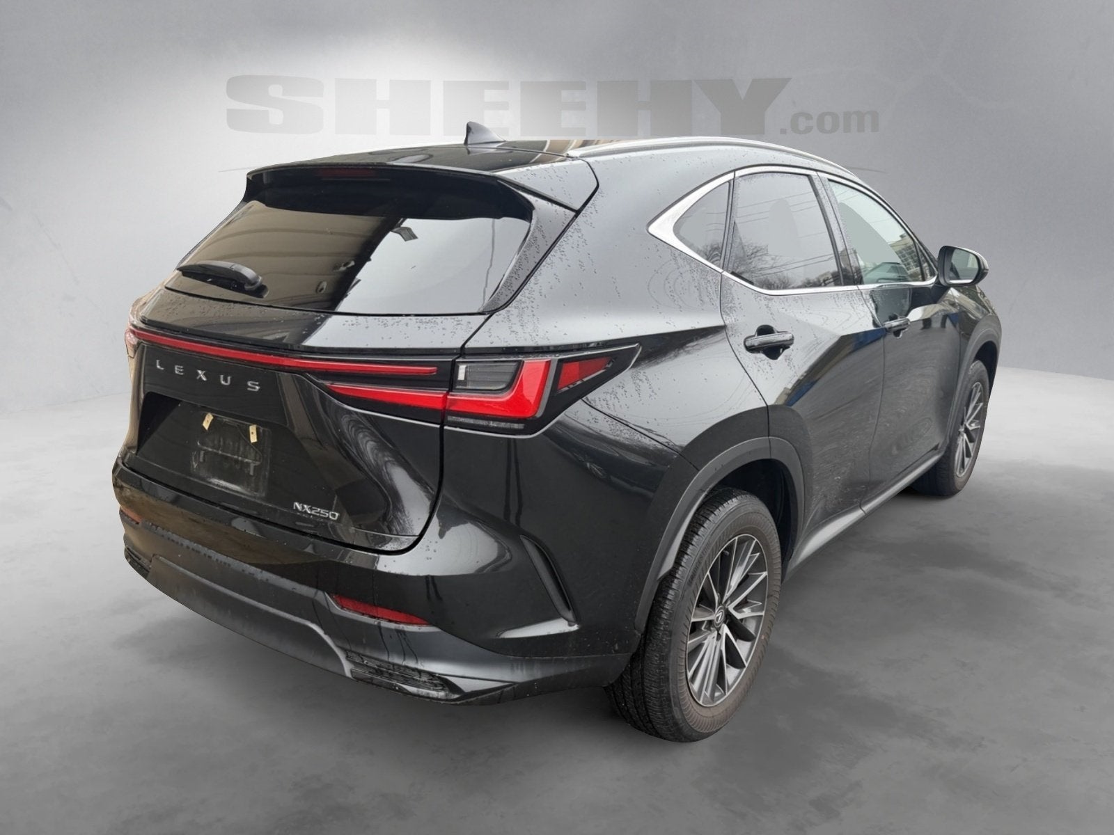 2024 Lexus NX 250 Base