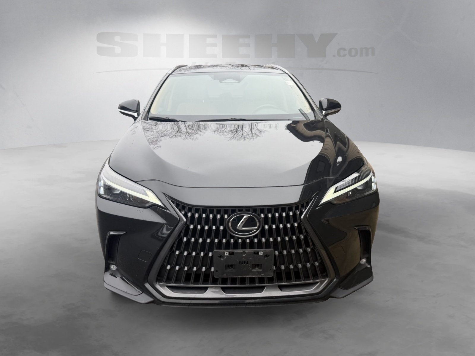 2024 Lexus NX 250 Base