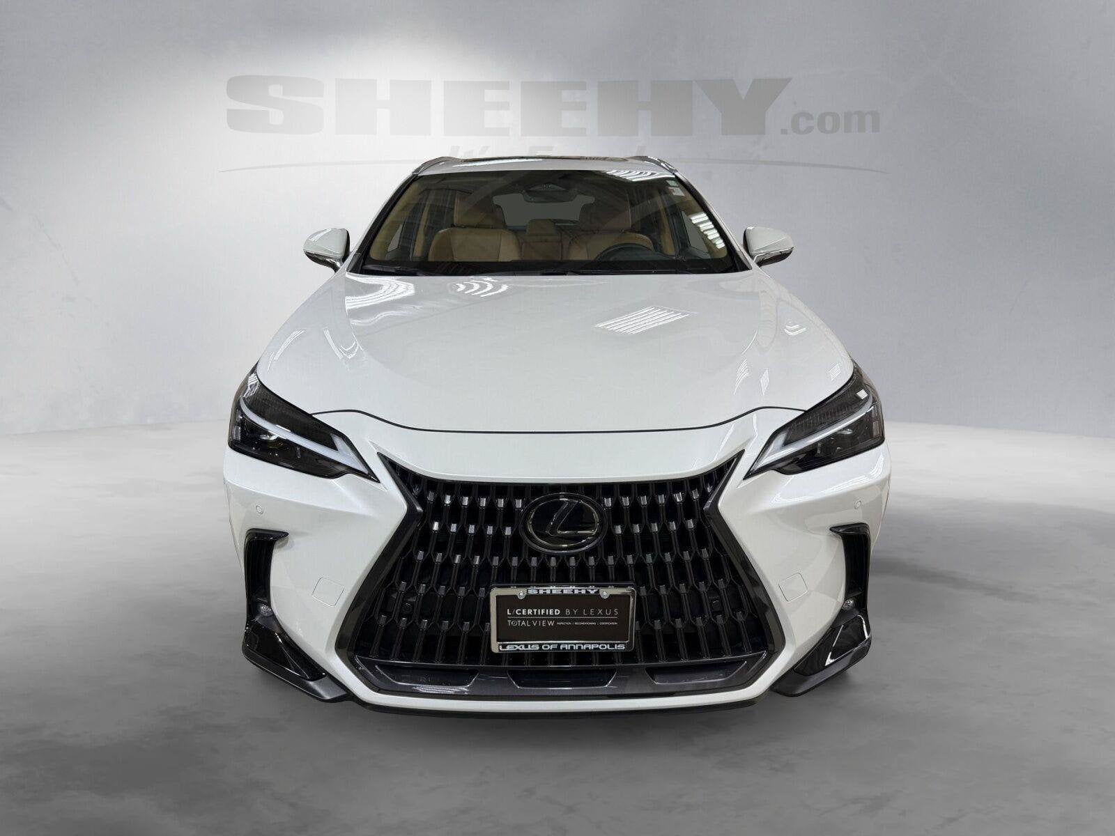 2025 Lexus NX 250 Base