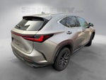 2024 Lexus NX 350 Base