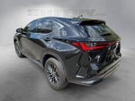 2024 Lexus NX 350 Base