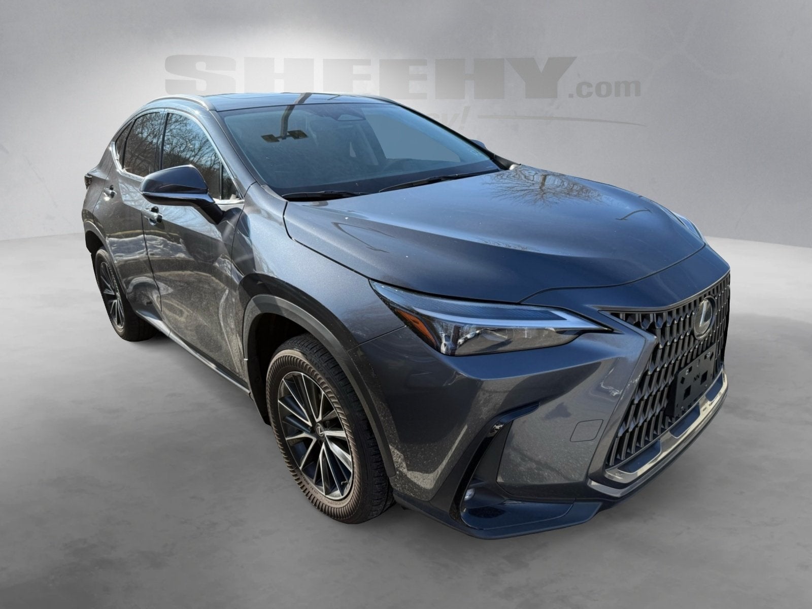 2024 Lexus NX 350 Base