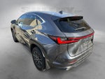 2024 Lexus NX 350 Base