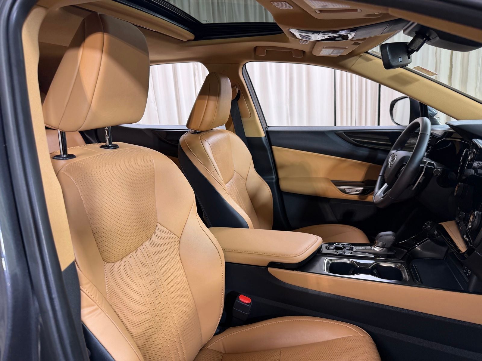 2024 Lexus NX 350 Base