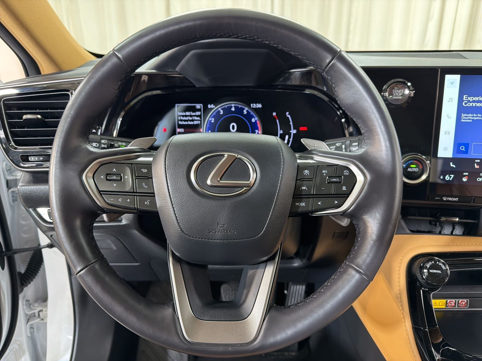 2025 Lexus NX 350 Base