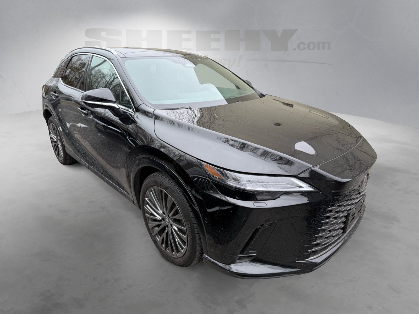 2025 Lexus RX 350 Luxury