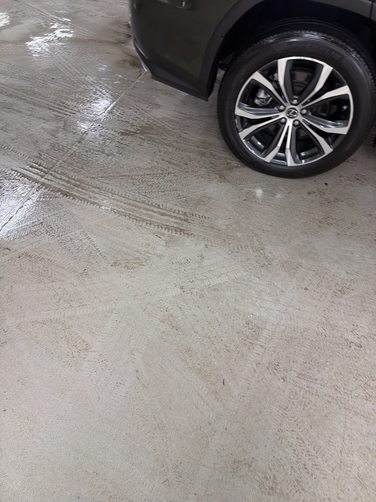 2025 Lexus RX 350h Premium