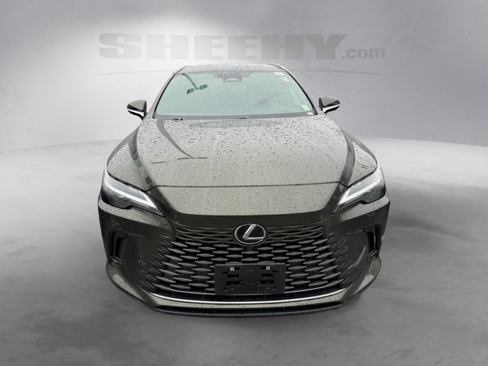 2023 Lexus RX 350h Premium Plus