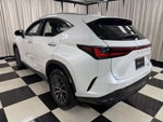 2025 Lexus Nx NX 350 Premium