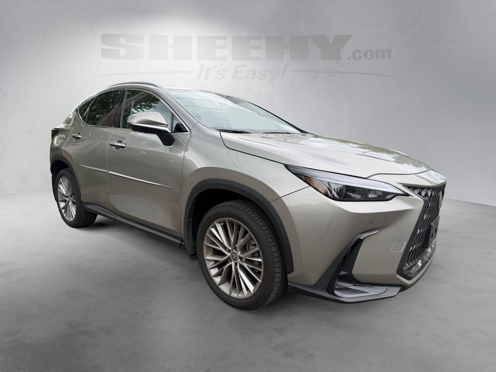 2025 Lexus NX 350 Premium