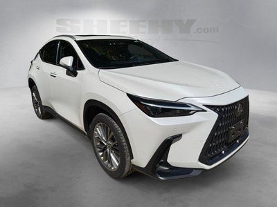 2025 Lexus NX 350h Premium